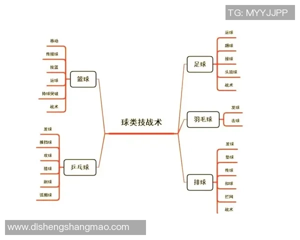 杭州排球队的战术创新与控制体系解析探讨
