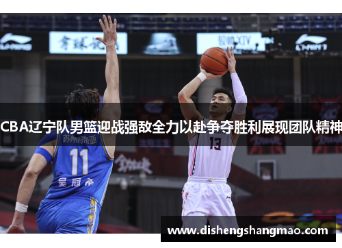CBA辽宁队男篮迎战强敌全力以赴争夺胜利展现团队精神
